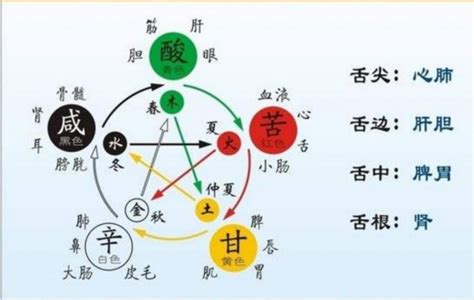 五行方向|五行和季节，颜色，方向，身体的对应表，五行方向。